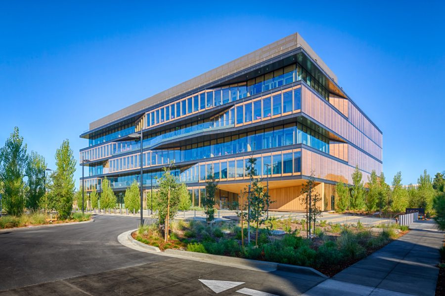 XL Construction - Mass Timber