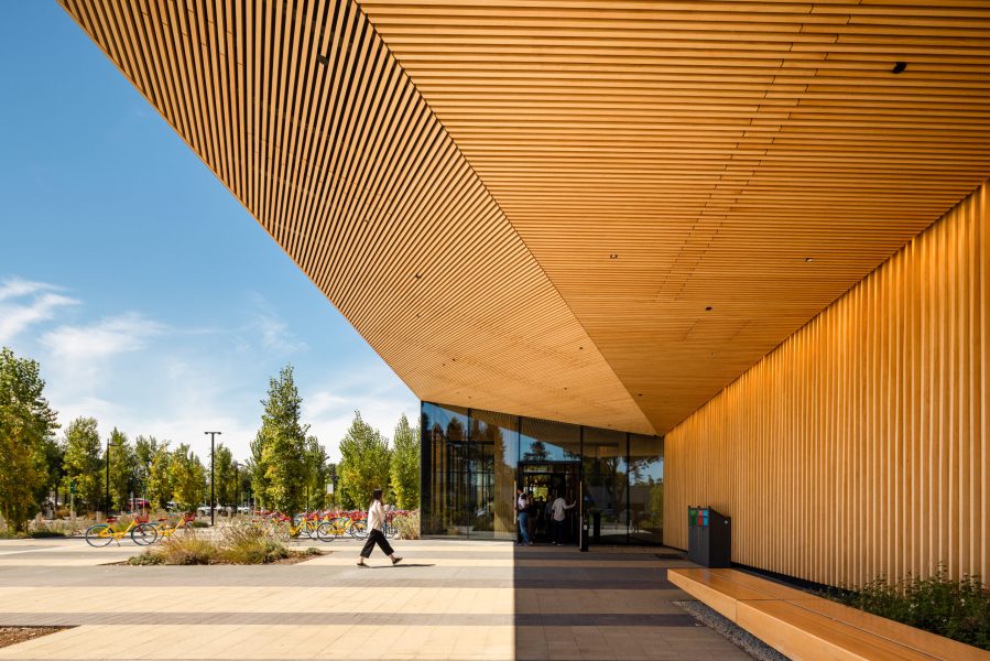 Google 1265 Borregas Mass Timber 4
